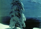 Ի. Շիշկին, Վայրի հյուսիսում, 1891թ.
