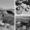 7 “доереванских” археологических мест, о которых мало кто знает